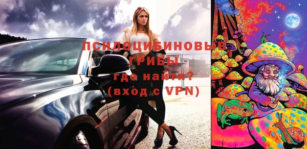 мяу мяу мука Арсеньев