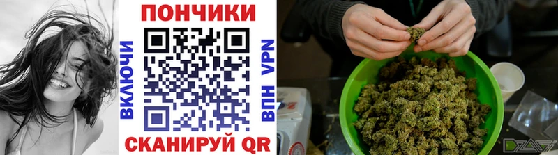 Купить где  Апшеронск  Конопля семена 